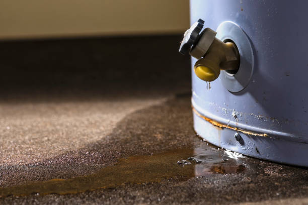  Alamo, TX Water damage restoration Pros