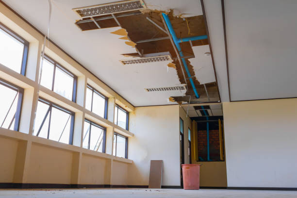 Best Carpet water damage restoration  in Alamo, TX