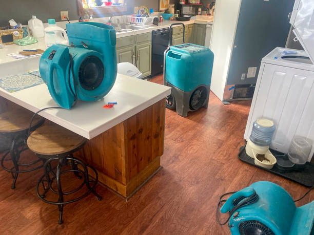 Best Water damage contractors near me  in Alamo, TX