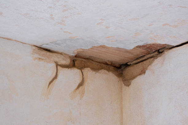 Best Sewage cleanup and water damage restoration  in Alamo, TX
