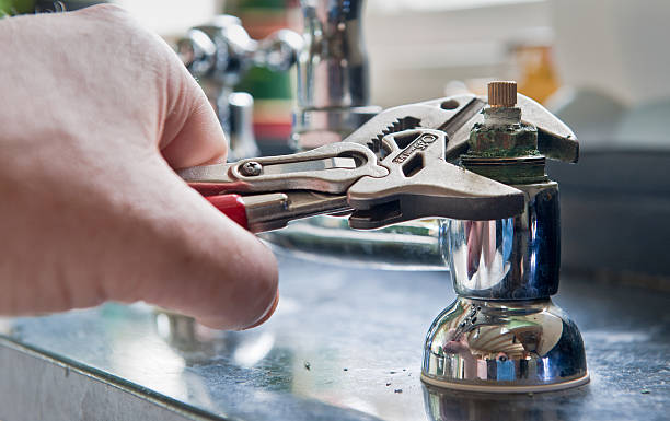 Best Flood damage cleanup  in Alamo, TX