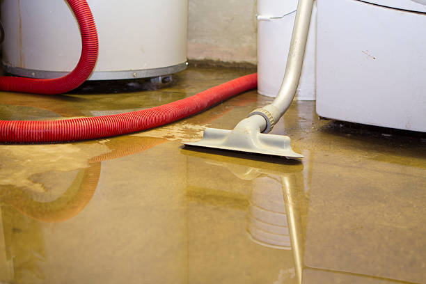Best Water damage restoration services  in Alamo, TX