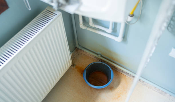 Best 24-hour water damage restoration  in Alamo, TX