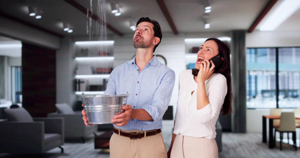 Sewage cleanup and water damage restoration in Alamo, TX