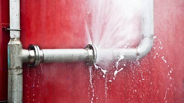 Best Flood damage cleanup  in Alamo, TX